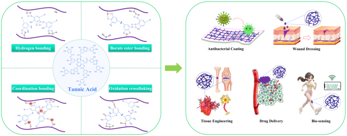 喜讯！bw必威西汉姆联官网刘阳课题组本科生在知名期刊Chemical Engineering Journal发表重要综述论文